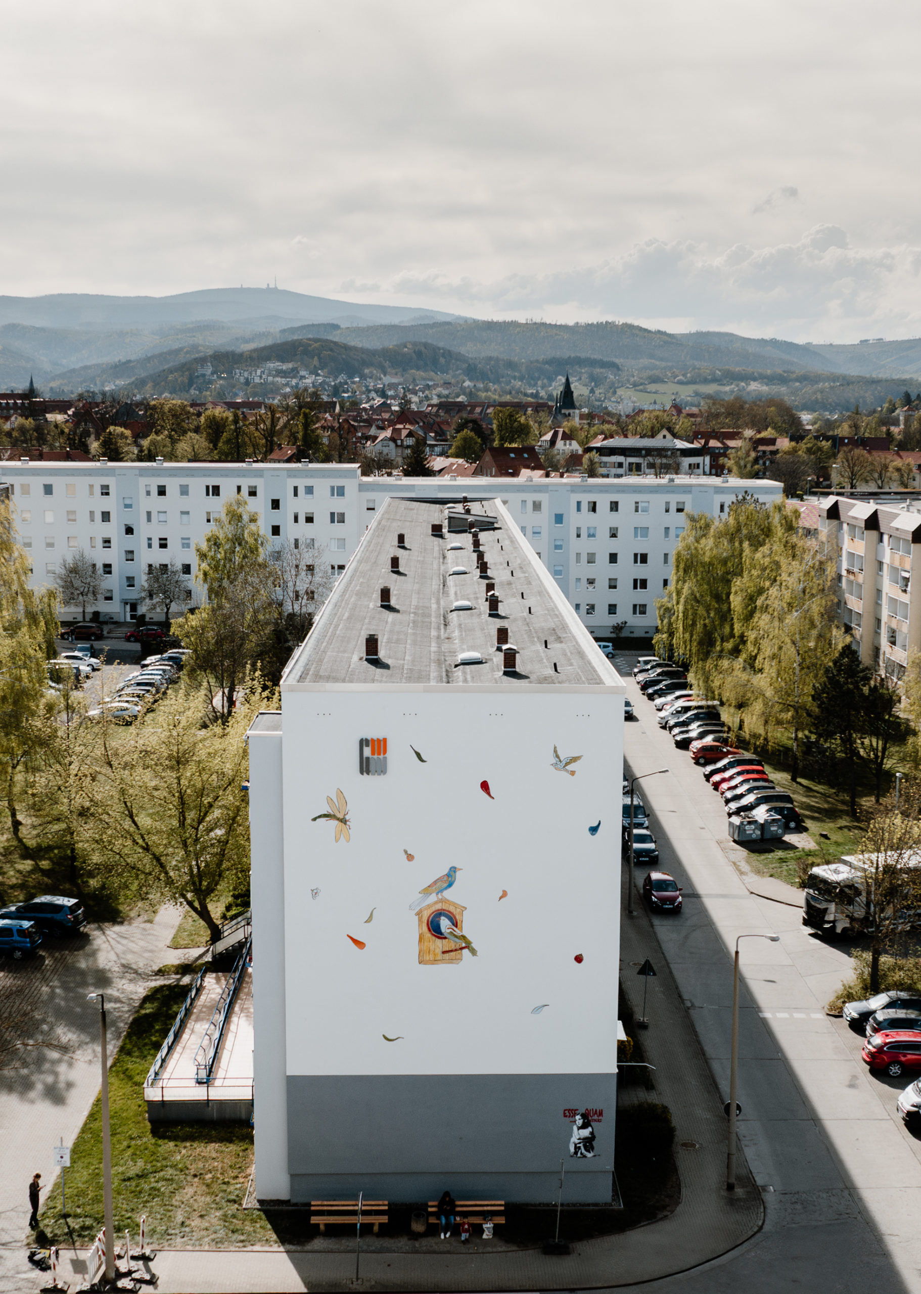 Moritz-Götze-Pop-Art in Wernigerode-Burgbreite