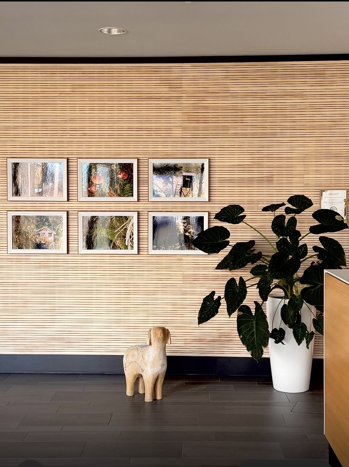 Was macht ein Weihnachtsschaf im Frühling bei der GWW?